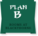 Plan B