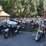 Harley Davidsons at Blackthornes Resort